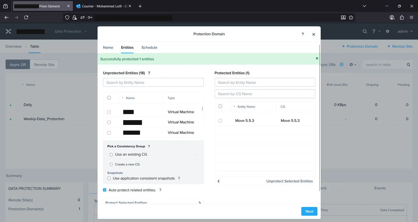 Protection Domain Entities tab showing a success banner after protecting one entity, now listed under Protected Entities